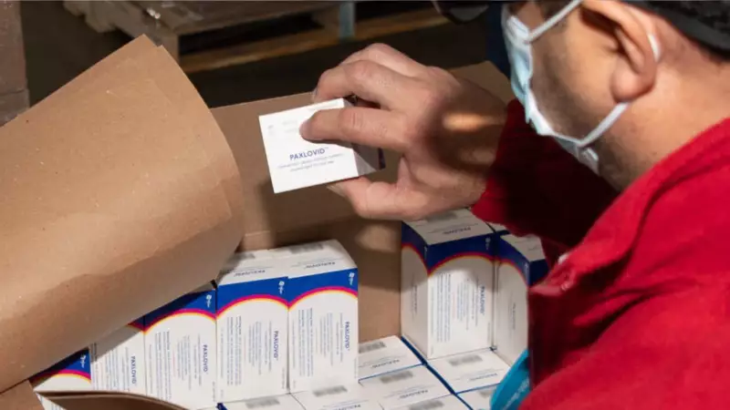 Pfizer paxlovid distribution scaled 1 1536x864