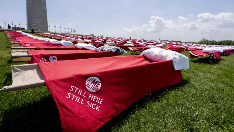 AP23132696811038 1600x900