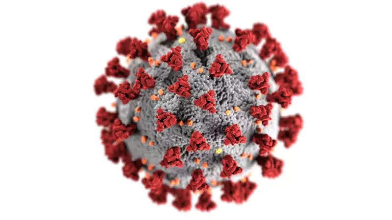Covid antibodies